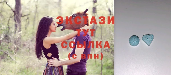 спиды Вяземский