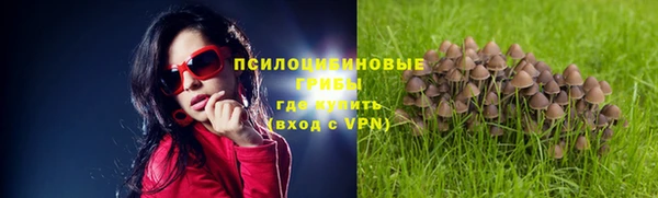МДМА Волосово