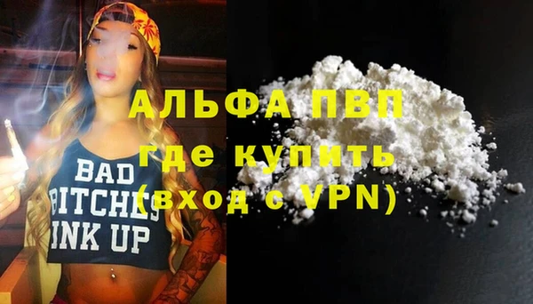 спиды Вяземский