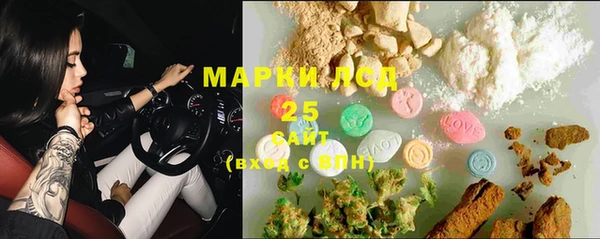 мяу мяу мука Вязьма