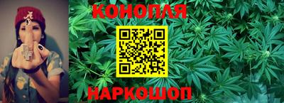 каннабис Кандалакша