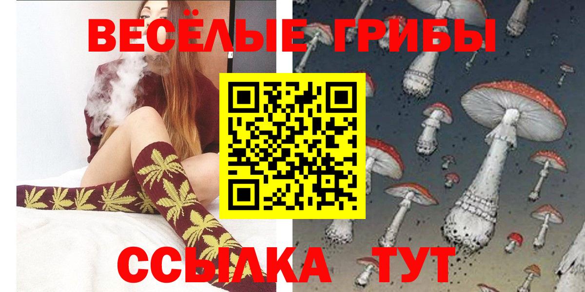 Среднеуральск  Псилоцибиновые грибы GOLDEN TEACHER  Вход с VPN 